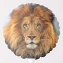 Search for lion balloons Wild animal