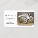 Search for sofa business cards Pet sitting