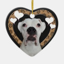 Search for white boxer ornaments Canine