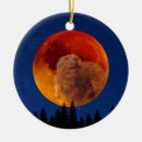Search for beaver ornaments Winter