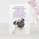 Search for pug in heaven Sympathy