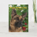 Search for german shepherd mothers day cards Mom