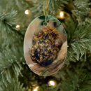 Search for monkey ornaments Conservation