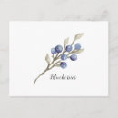 Search for blueberry postcards Botanical