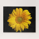 Search for sunflower puzzles Gold