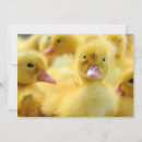 Search for group thank you cards Animal