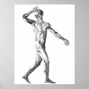 Search for human anatomy posters Muscles