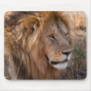 Search for adult coloring mousepads Animal