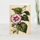 Search for flower drawing birthday cards Flowers
