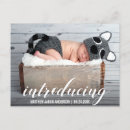 Search for baby announcement postcards Newborn