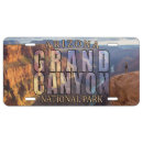 Search for arizona license plates Southwest