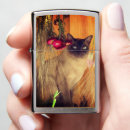 Search for flame point siamese cat Animal