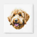 Search for golden retriever magnets Labrador