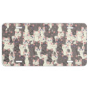 Search for cats license plates Kitty