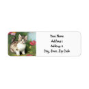 Search for victorian return address labels Flowers
