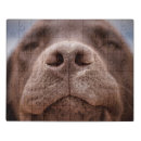 Search for labrador puzzles Pet