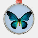 Search for caterpillar ornaments Butterflies