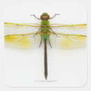 Search for body lotion stickers Green