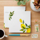 Search for square envelopes Watercolor