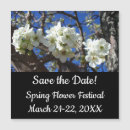 Search for pear tree invitations Flowers