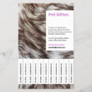 Search for dog grooming promotion flyers Animal care
