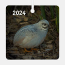 Search for quail ornaments Poultry