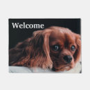 Search for cavalier king charles spaniel doormats Pet