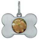Search for the lily pet tags Flowers