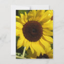 Search for sunflower postcards Joy