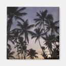 Search for dominican republic magnets Atlantic ocean