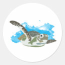 Search for sea turtle design stickers Tortoise
