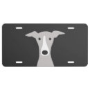 Search for italian license plates Greyhound