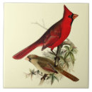 Search for cardinal bird gifts Vintage