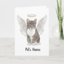 Search for cat sympathy cards Tabby