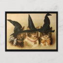 Search for vintage halloween postcards Black cats