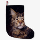 Search for black cat christmas stockings Adorable