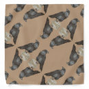Search for raven bandanas Bird