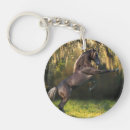 Search for rocky mountain horse Trees