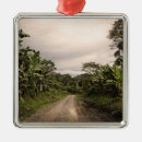 Search for costa rica ornaments Nature