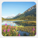 Search for alaska stickers United states