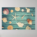 Search for seashell posters Ocean