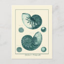 Search for antique postcards Sea