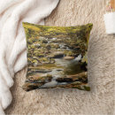Search for great smoky mountains national park pillows fall