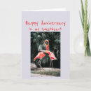 Search for flamingo holiday cards Fun