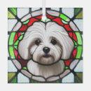 Search for coton de tulear ornaments Pet