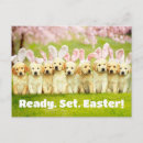 Search for funny easter invitations Avanti press