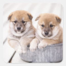 Search for bathtub stickers Animal