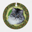 Search for maine coon cat ornaments Pets