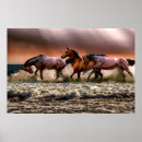 Search for horse posters Free