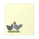 Search for chicken notepads Rooster